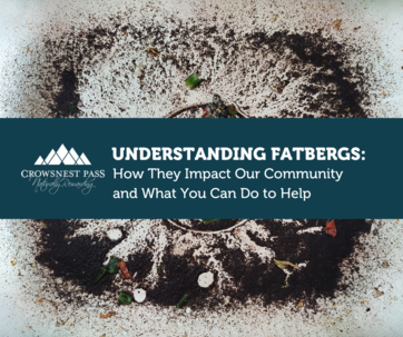 Food scraps and grease going down the drain—small actions that contribute to massive fatbergs in our sewers.